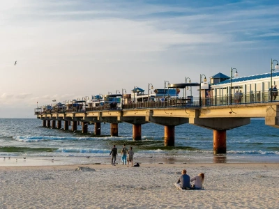 Plaga insektów nad polskim morzem. „Wieczorne spacery niemożliwe”