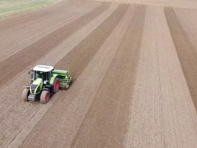 Siew zbóż ozimych: czy warto opóźnić termin?