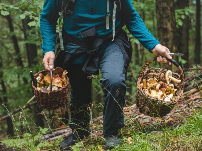 Poszli na grzyby. Nie żyje 88-letnia kobieta, a  jej mąż walczy o życie w szpitalu