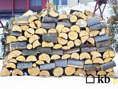 Palisz takim drewnem? Straż miejska zarabia krocie na mandatach