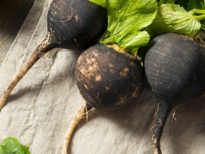 Wspiera regenerację wątroby, obniża cholesterol. Zapomniana czarna rzepa to genialne warzywo