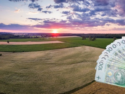 Wyniki monitoringu satelitarnego ARiMR – ostatnia szansa na sprawdzenie dopłat 2025!