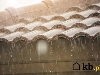 Kontrola bez wchodzenia na posesję – urzędnik sprawdzi ten element domu na odległość. Kara? 10 000 zł