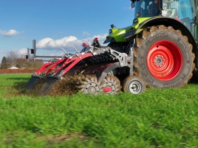 Wyczyniec polny: Czy można go usunąć pielnikiem?