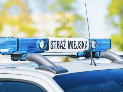 Szczyt bezczelności pobity. Nieprawidłowym parkowaniem załatwił sobie 120 dni w więzieniu