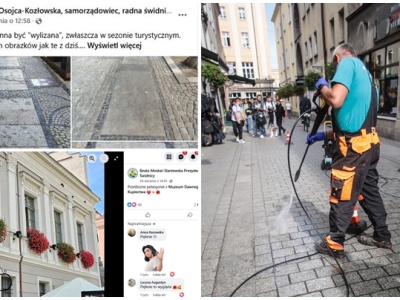 Prezydent patrzyła na kwiatki, radna pod nogi. Łukowa doczekała się mycia [FOTO]