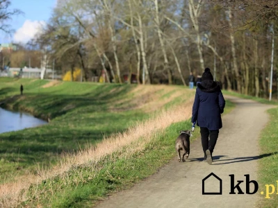 Zarabia na rękę ponad 6000 zł, a nie stać jej na podstawowe potrzeby. 