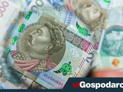 Analityk Fitch miażdży narrację rządu Tuska