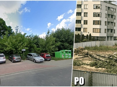 Deweloper wyciął drzewa bez zgody. Miasto utworzy tam park
