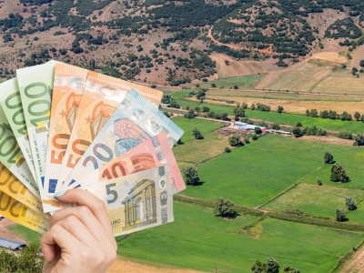 Dopłaty rolnicze wyłudzane na masową skalę. Ponad 1000 podejrzanych, w tym minister