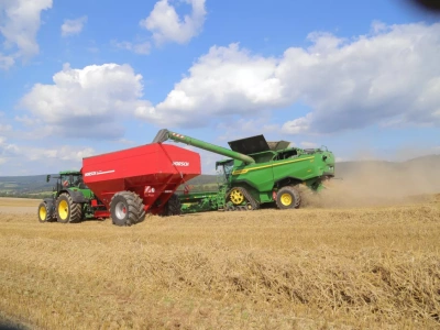 Rynek zbóż i roślin oleistych: żniwa 2025 i co dalej? Debata branżowa wkrótce