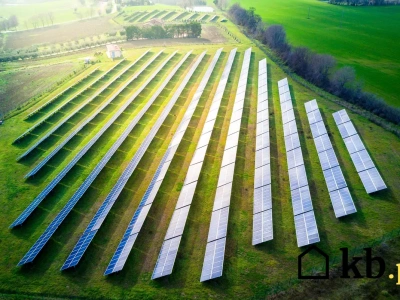 Polacy masowo rezygnują z paneli! Wszyscy wskazują jedną zasadniczą przycznę