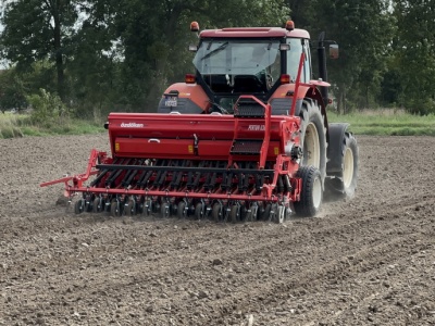 Kiedy siać jęczmień ozimy? Optymalne terminy są zbyt wczesne