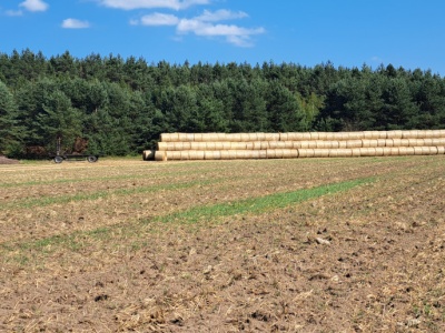 Rolnicy proponują nowe rozwiązanie dotyczące kredytów na zakup ziemi