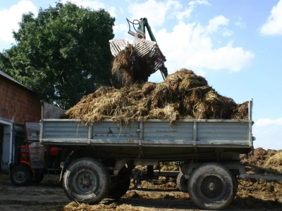 Ile obornika na hektar pod zboża? Zalecane dawki