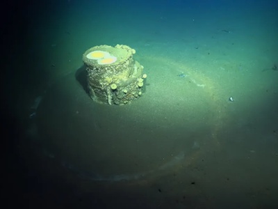 Mroczna tajemnica amerykańskiego wybrzeża. Po latach dostrzegli skalę problemu