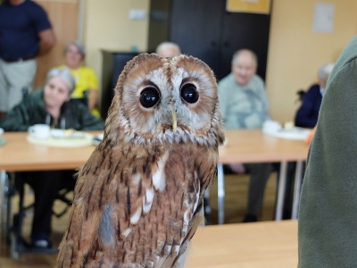 Nietypowi goście w kieleckim hospicjum