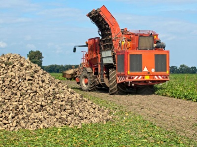 Rolnicy: uwaga na drony podczas żniw kukurydzy, słonecznika, buraków!