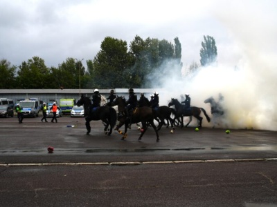 Konie i psy na policyjnym szkoleniu. Zwierzęta wspierają funkcjonariuszy