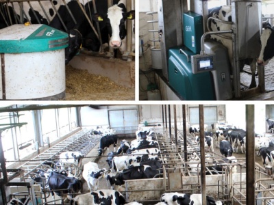 Innowacyjny Farmer 2025: Automatyzacja ważna zarówno w oborze, jak i w polu