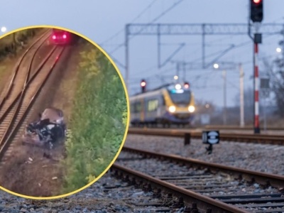 Samochód wypadł z wiaduktu na tory kolejowe. Pociąg zmiażdżył osobówkę