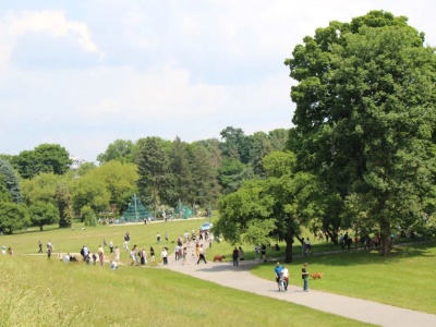 Takiego festiwalu w parku Jordana jeszcze nie było