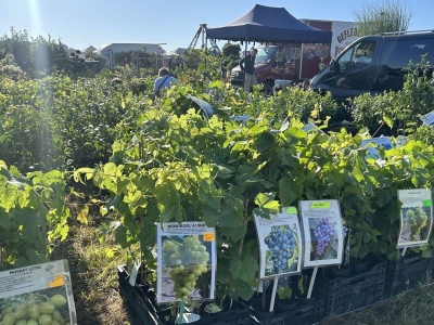 Targi Agro Pomerania w Barzkowicach wystartowały [ZDJĘCIA]