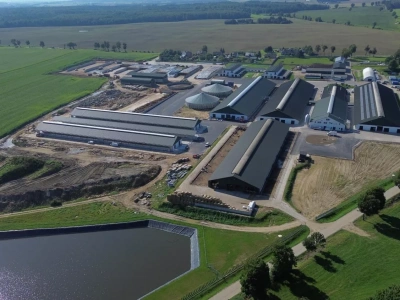 Największa na świecie instalacja automatycznego doju krów DeLaval na polskim Pomorzu. Ile krów dziennie wydoi?