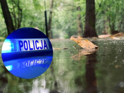 Tajemnicza śmierć studentki z Podkarpacia. Rodzina nie wierzy w samobójstwo. „Ktoś odebrał jej życie”