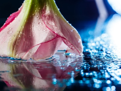 Pogoda na weekend | Ciepło, ale nie zabraknie deszczu, burz i wiatru