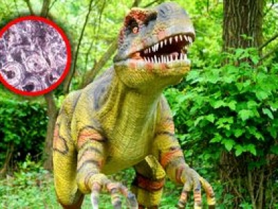 Cierpiały na specyficzną chorobę. Te dinozaury żyły w Brazylii