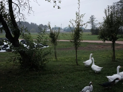 Politycy chcą budować, inwestorzy zarabiać, a mieszkańcy się buntują. „Dla nas jest tylko smród”