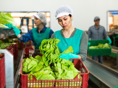 Gruzini nie znajdą tak łatwo pracy w Polsce. Przedsiębiorcy krytykują zmianę