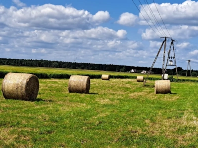 Czy rolnik może kupić ziemię rolną w innym województwie niż mieszka?