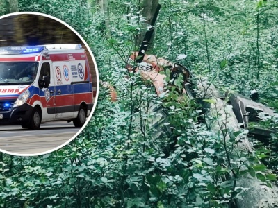 Nie wrócił do domu. 75-latka znaleziono w lesie. Nie żył. Wstrząsające ustalenia