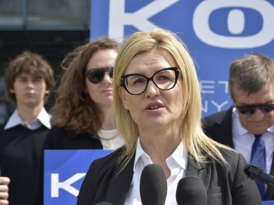 Wrzosek w rewolucyjnym zapale. 