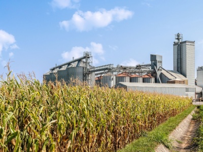 Fabryka leków ma stanąć na ściernisku, bo tak chce Komisja Europejska?