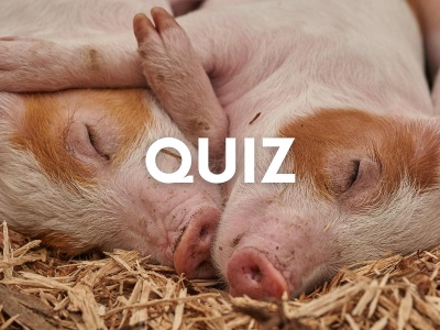 Jeśli nie byłeś na wsi to nie masz szans na komplet w tym quizie