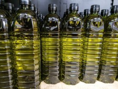 Oliwa jest gorzka i śmierdzi stęchlizną? Winny jest błąd, którego Włosi nigdy nie popełniają