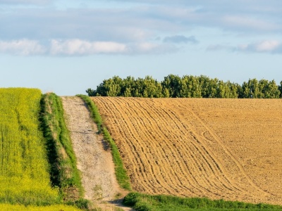 Państwowa ziemia zablokowana na 10 lat. Nowy projekt ustawy już gotowy