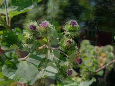 Dawniej „stolica” łopianu, dziś miasto