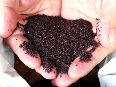 Oleowita: Innowacyjne podejście do surowców pozyskiwanych od przetwórców