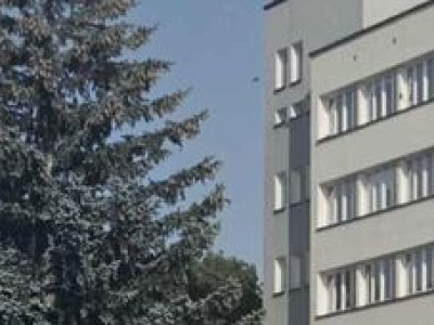 Kilkumetrowy krzyż przy ulicy Warszawskiej. Radni PiS pokazali projekt pomnika