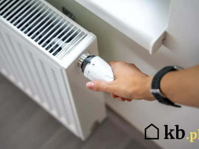 Dom ogrzewany… ściekami? Niezwykły pomysł szkockich naukowców