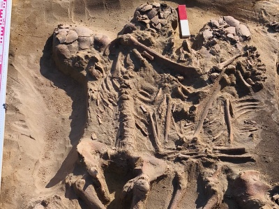 Czy pod Inowrocławiem odkryto unikatowy pochówek zbiorowy sprzed 9000 lat?