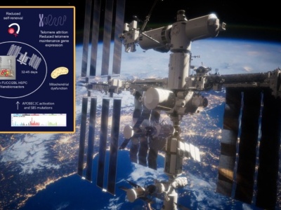 Naukowcy odkryli, że z komórkami dzieje się coś dziwnego w kosmosie