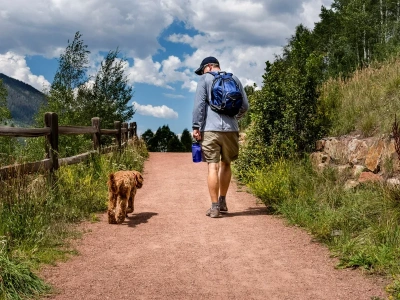 Weekendowy pobyt w górach za darmo. Konkurs dla właścicieli psów