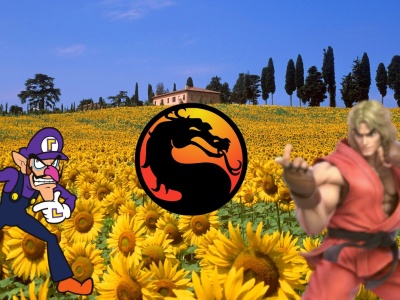 Włochy: romantyczna sesja ślubna młodej pary skończyła się bójką z rolnikiem, któremu wleźli w słoneczniki