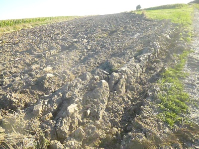 Umiejętnie stosuj pod oziminy NPK i Mg