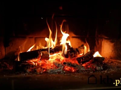 WT2026 uderzy w kominki i piece? Eksperci ostrzegają przed katastrofą energetyczną